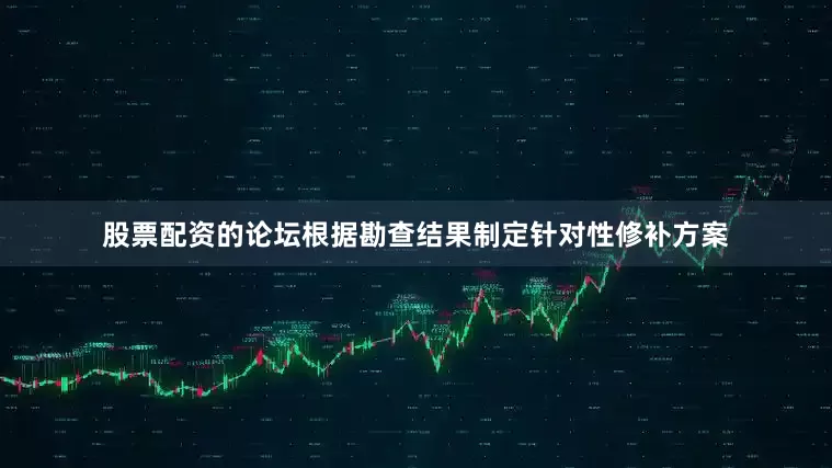股票配资的论坛根据勘查结果制定针对性修补方案