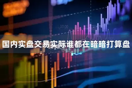国内实盘交易实际谁都在暗暗打算盘