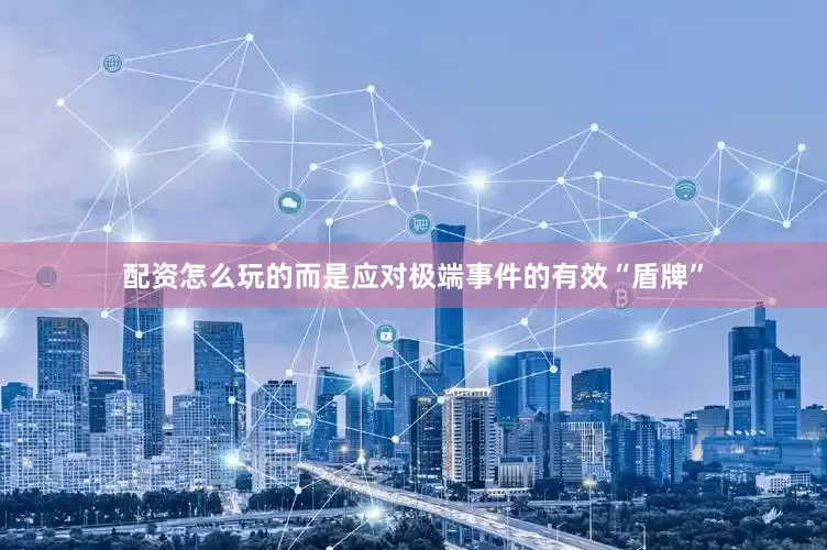 配资怎么玩的而是应对极端事件的有效“盾牌”