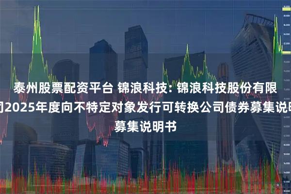 泰州股票配资平台 锦浪科技: 锦浪科技股份有限公司2025年度向不特定对象发行可转换公司债券募集说明书