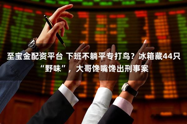 至宝金配资平台 下班不躺平专打鸟？冰箱藏44只“野味”，大哥馋嘴馋出刑事案