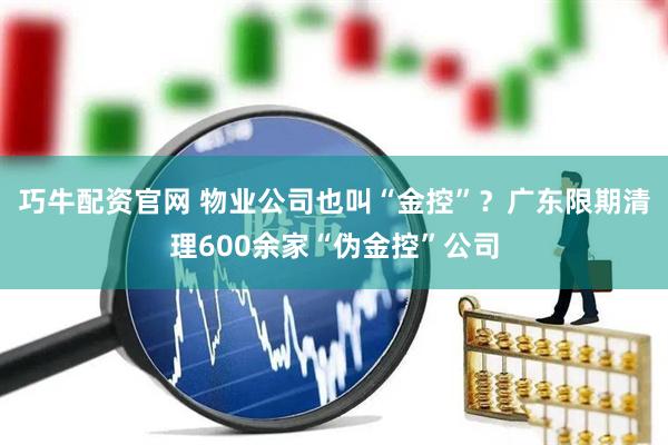 巧牛配资官网 物业公司也叫“金控”？广东限期清理600余家“伪金控”公司